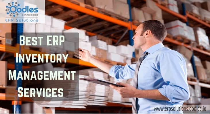 ERP Inventory Management Services