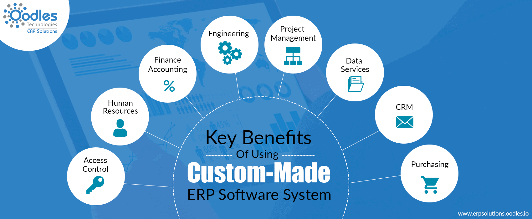 Custom-Made ERP Software