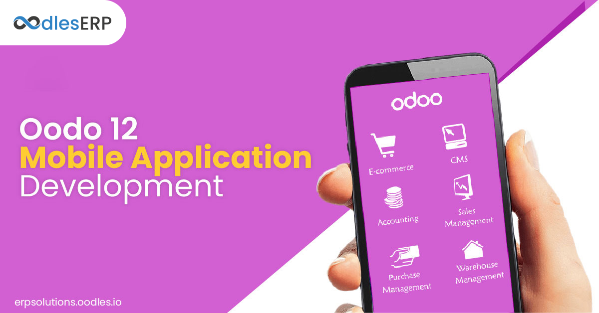 Mobile ERP application development