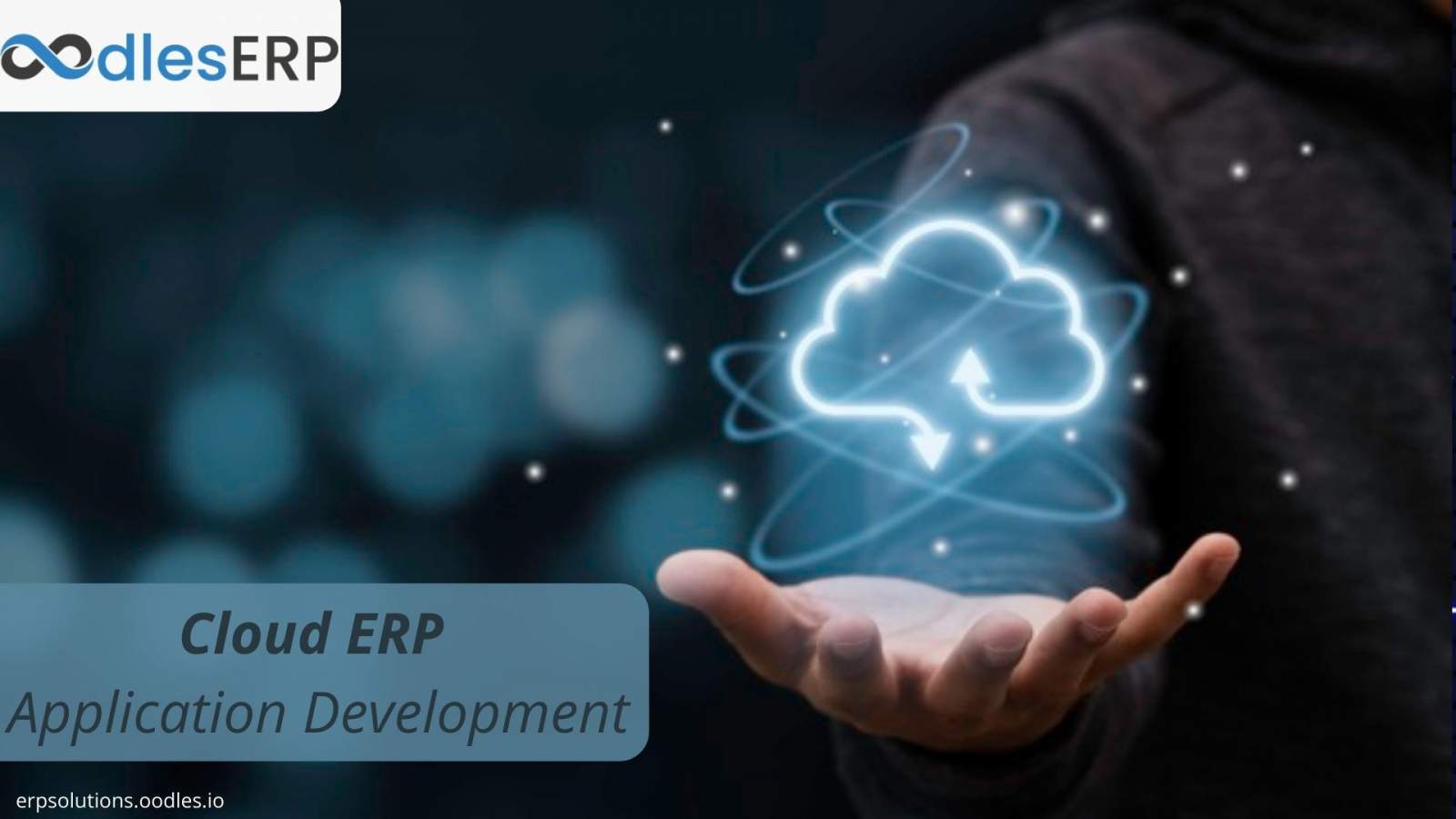 Cloud ERP Application Development