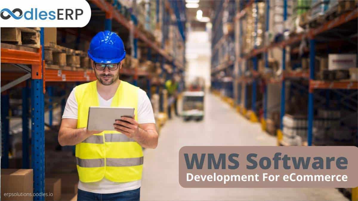 WMS Software Development For eCommerce Inventory Management