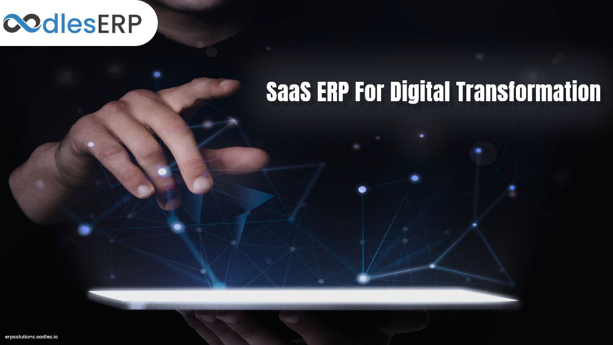 SaaS ERP development services