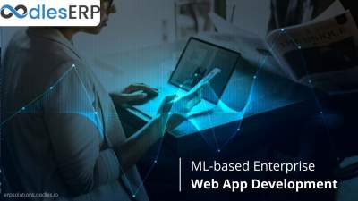 Strengthening Enterprise Web App Development Using Machine Learning