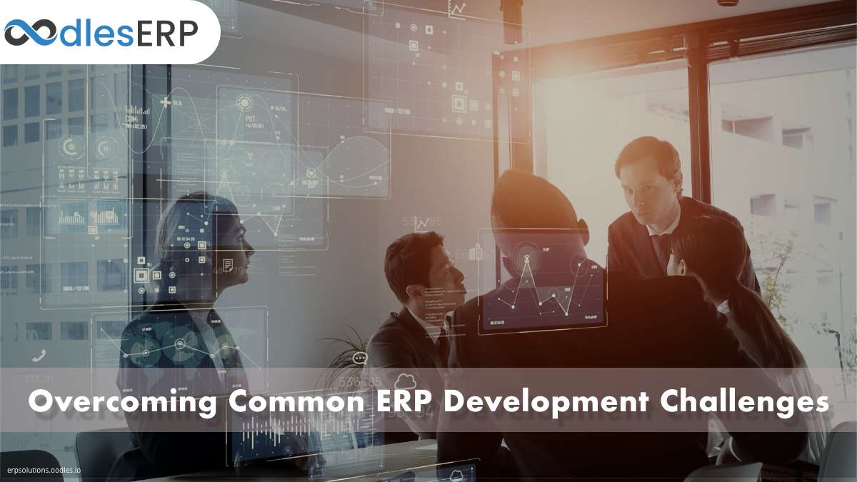 ERP software development and implementation