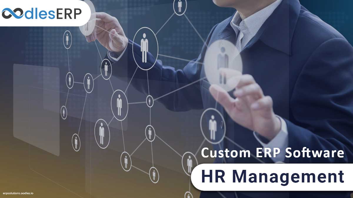 custom ERP software for HR management