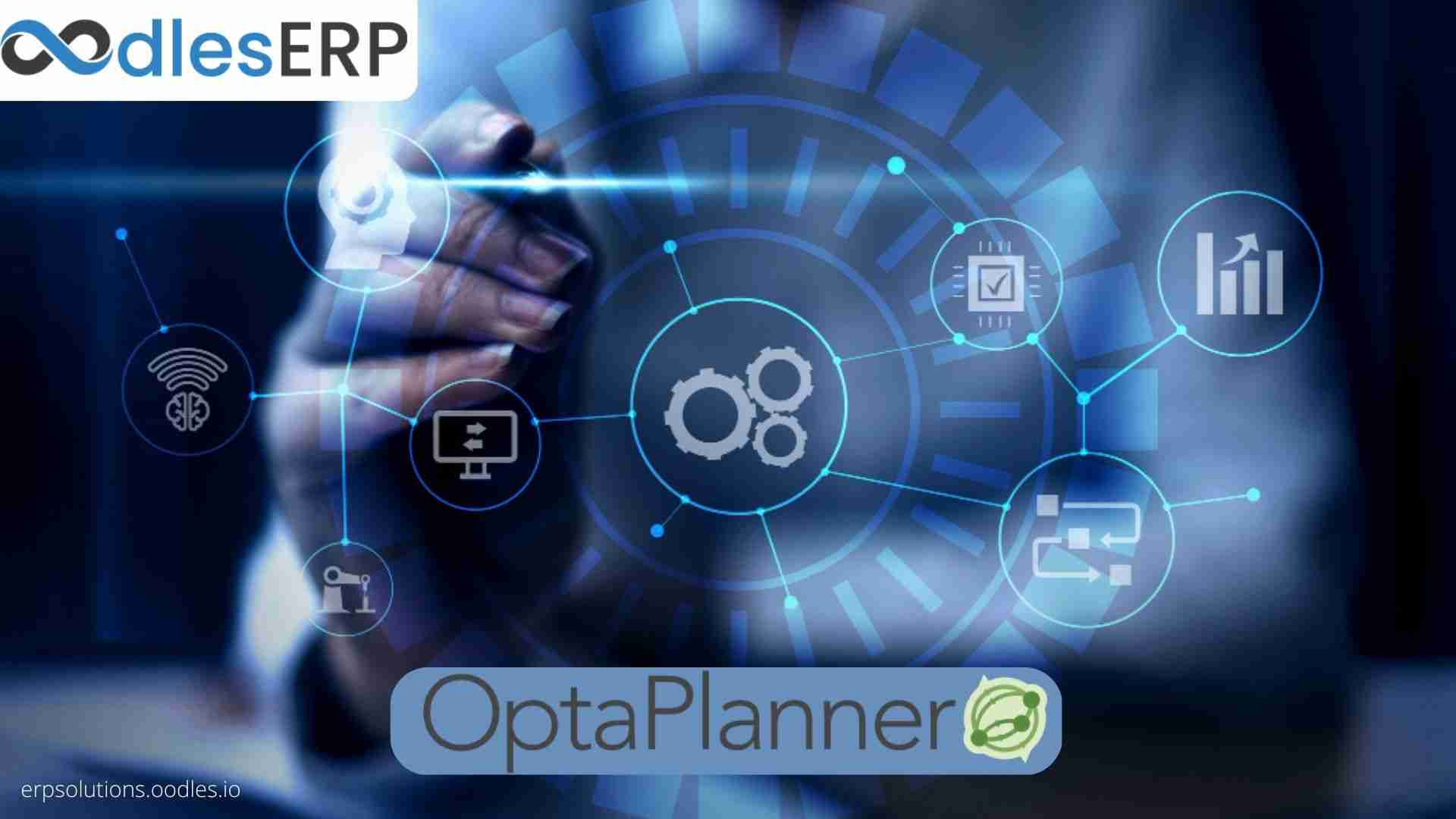 OptaPlanner development services