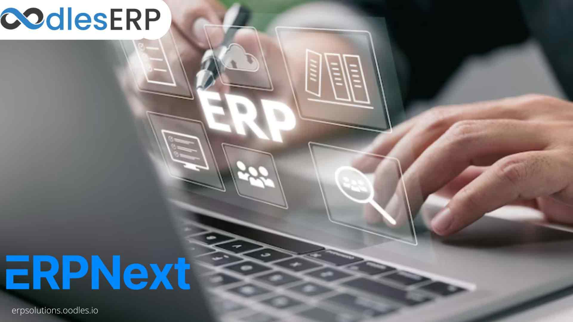 ERPNext Web Development For Customer Service Management