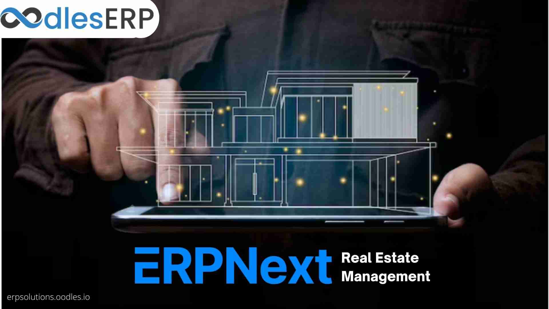 ERPNext Software Development For Real Estate Management